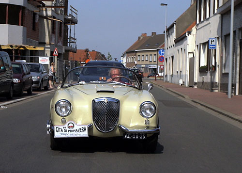 Aurelia spider at the 50 year anniversary event in Brugge Belgium