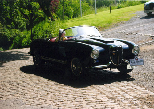 Aurelia spider at the 50 year anniversary event in Brugge Belgium