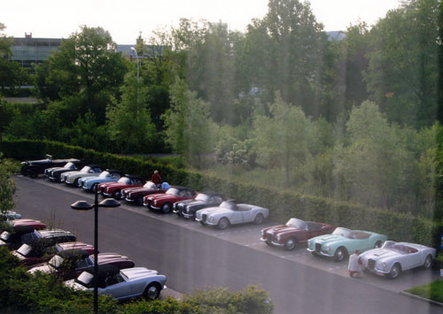 Aurelia spider at the 50 year anniversary event in Brugge Belgium