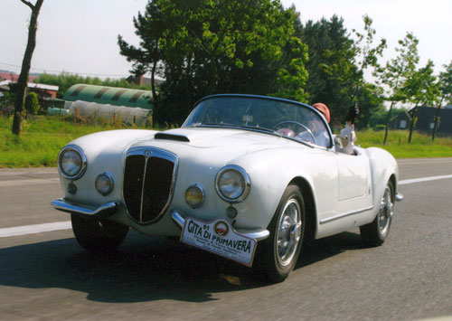 Aurelia spider at the 50 year anniversary event in Brugge Belgium