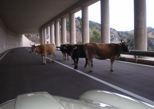 Fabulous pictures of the Spring Meeting Aurelia Registro Italiano anno 2007 in Sardegna