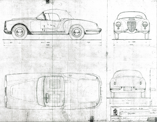 Aurelia Spider Drawing B24