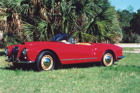 Aurelia Spider