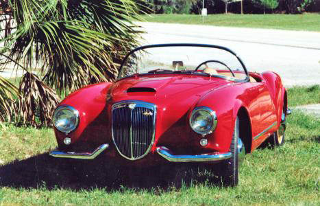 Aurelia Spider